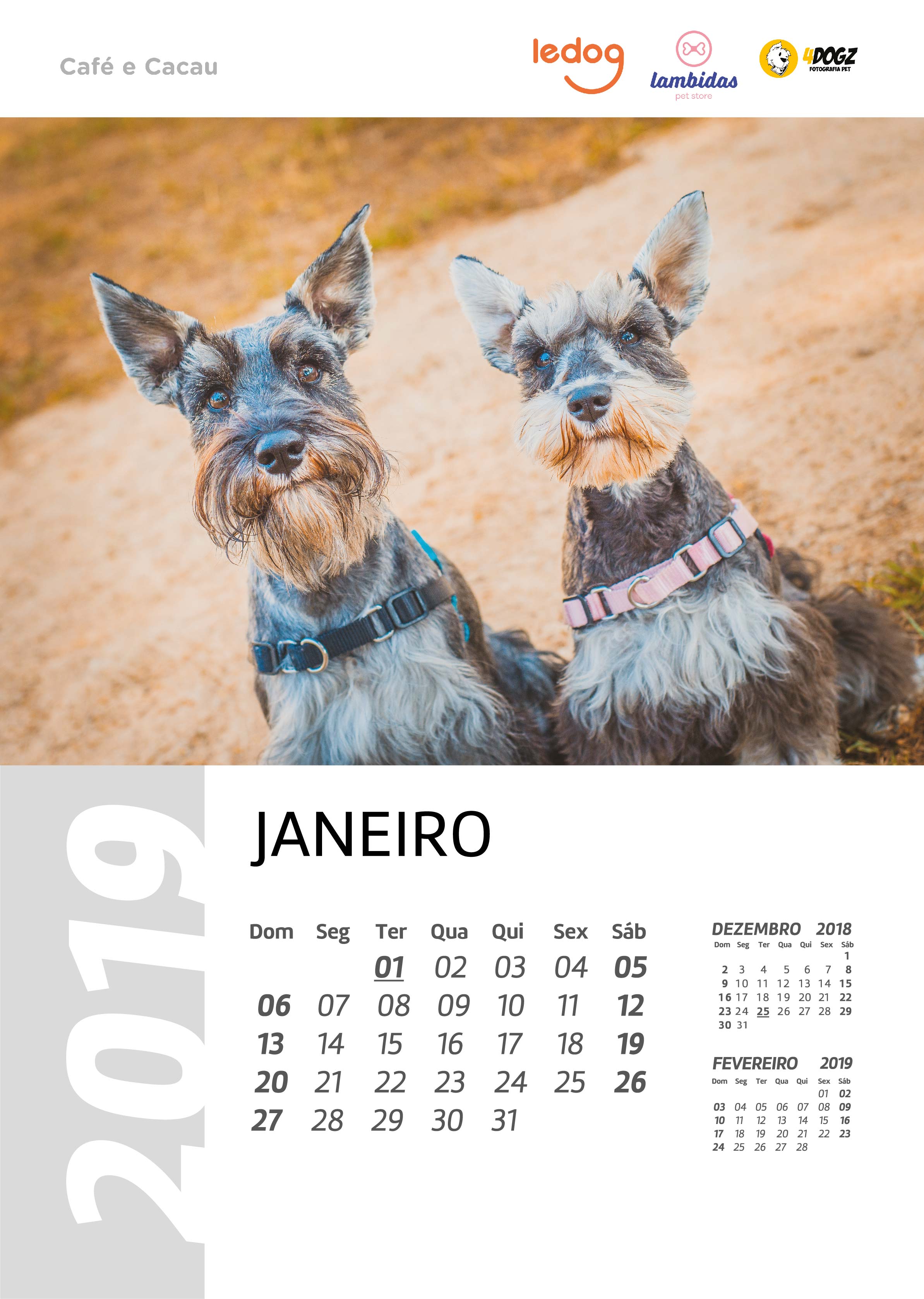 Janeiro 2019