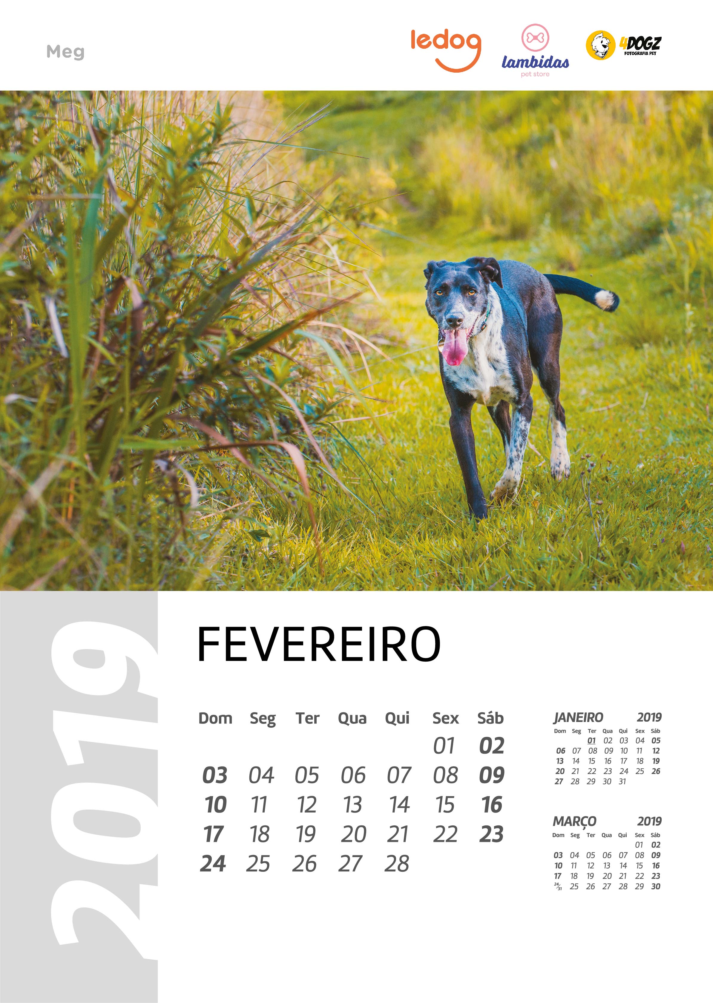 Fevereiro 2019