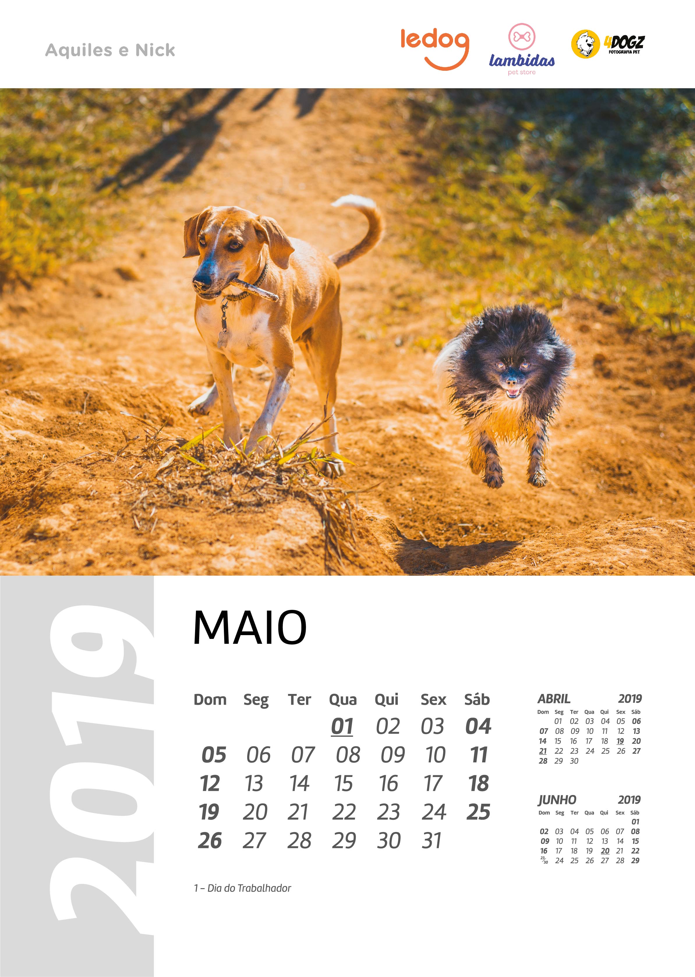 Maio 2019