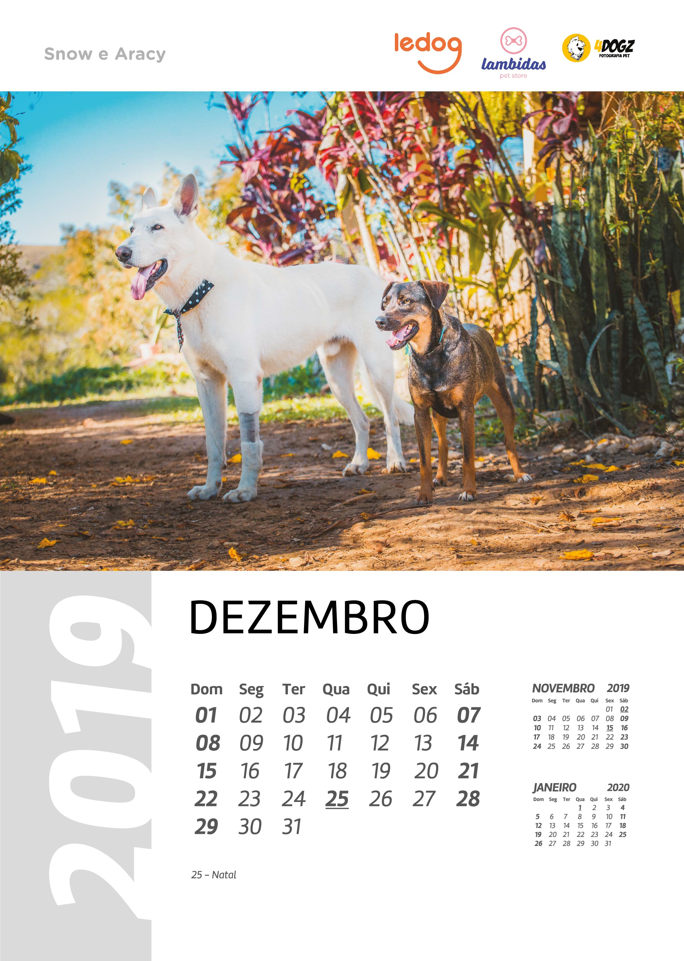 Dezembro 2019